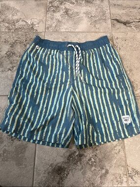 Brixton Blue Swim Trunks with Lime Vertical Stripe